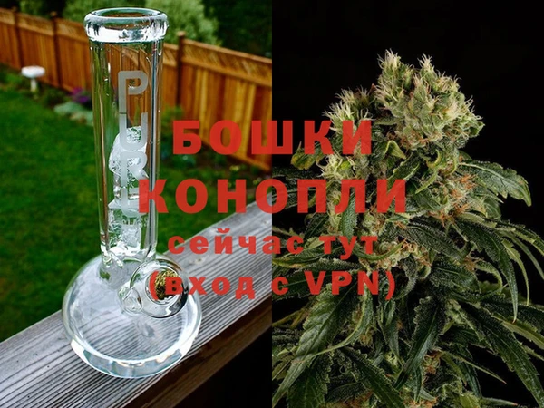 ECSTASY Богородицк